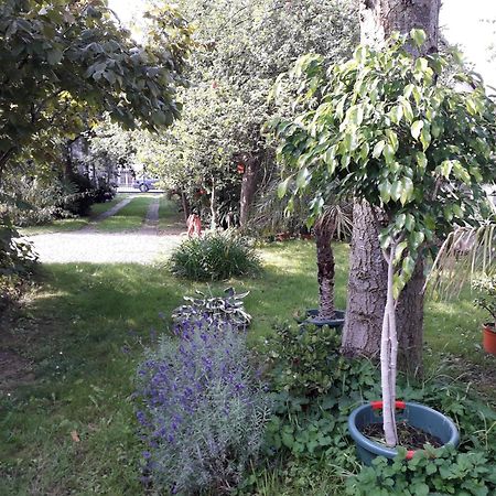 Ferienhaus Gartentraum Rheinsberg Bagian luar foto